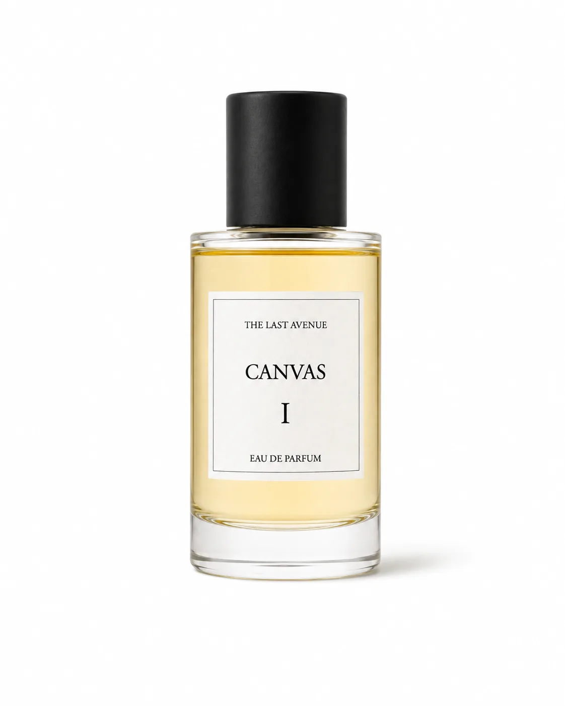Canvas I