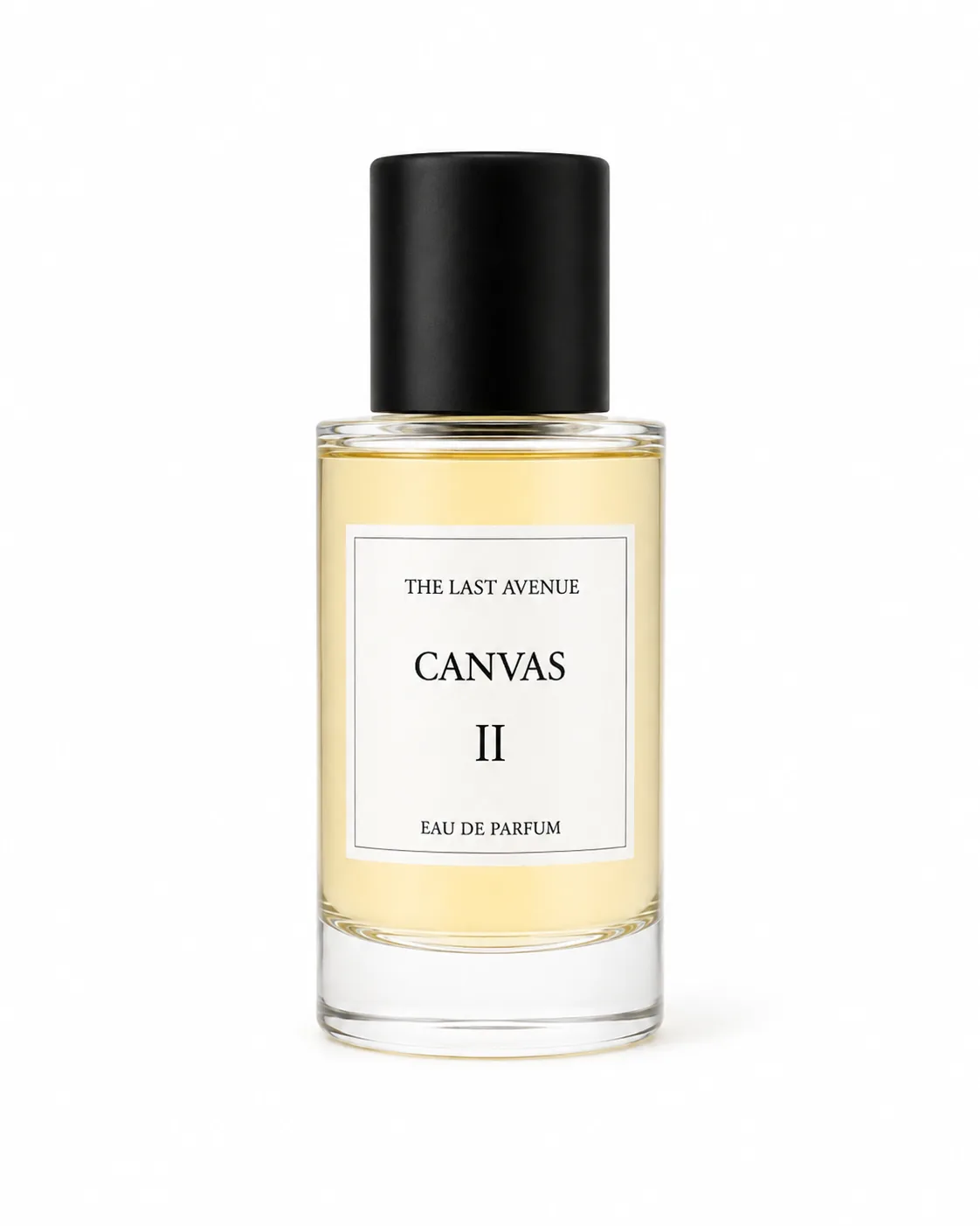 Canvas II