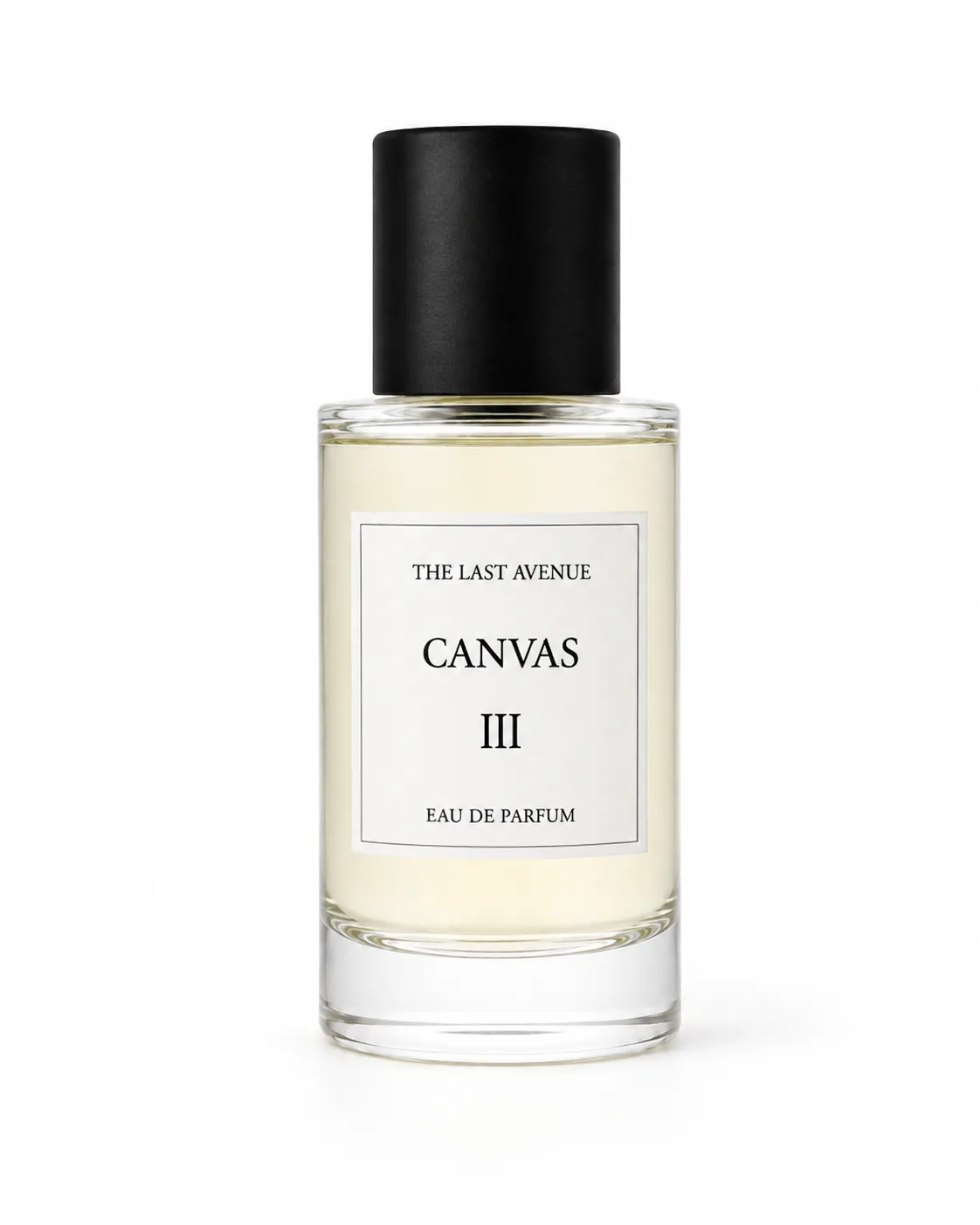 Canvas III