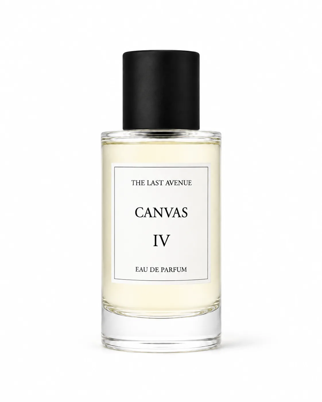 Canvas IV