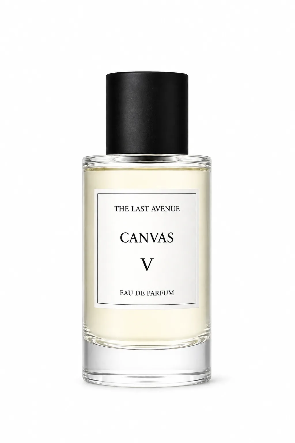 Canvas V