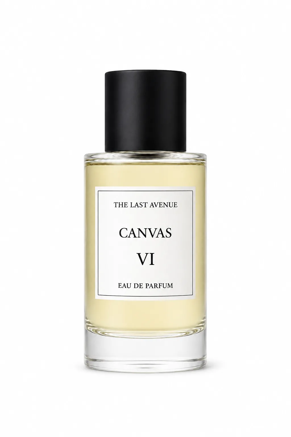 Canvas VI